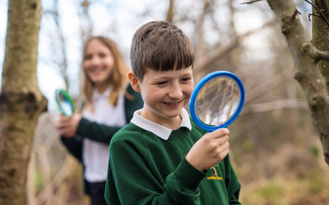 Exploring Nature through Forest School
